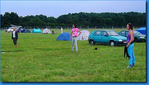 52 creamfields 11-12_07_2008.JPG