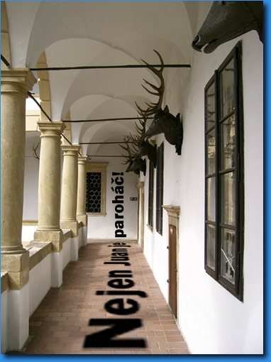 CIMG9260.jpg