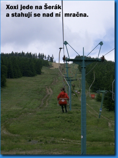 CIMG9312.jpg
