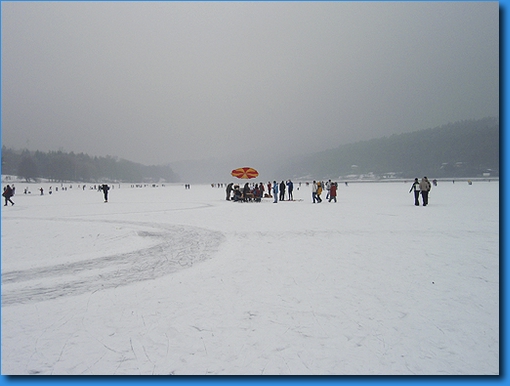 P1110250.JPG