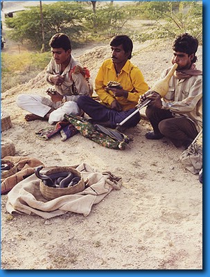 indie09.jpg